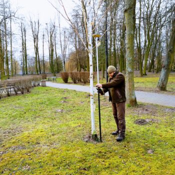 Inwentaryzacje dendrologiczne