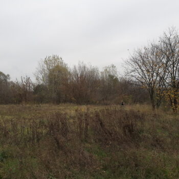 ekspertyza-przyrodnicza