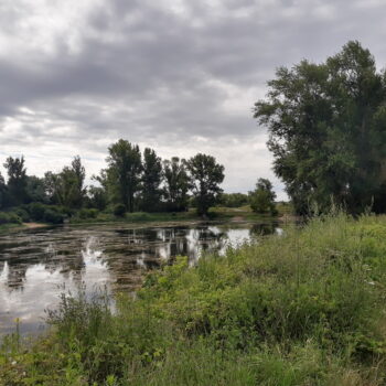centrum-przyrodnicze-inwentaryzacja-drzew