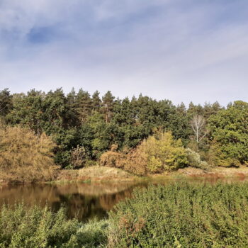 centrum-przyrodnicze-inwentaryzacja-drzew