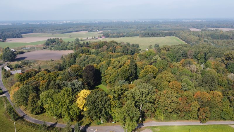 inwentaryzacja drzew i krzewów